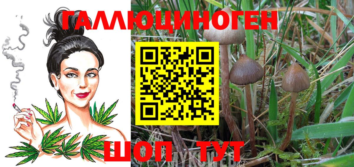 Красноярск  Галлюциногенные грибы MAGIC MUSHROOMS  Вход с VPN  Псилоцибиновые грибы Psilocybe 